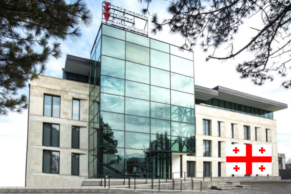 East European University