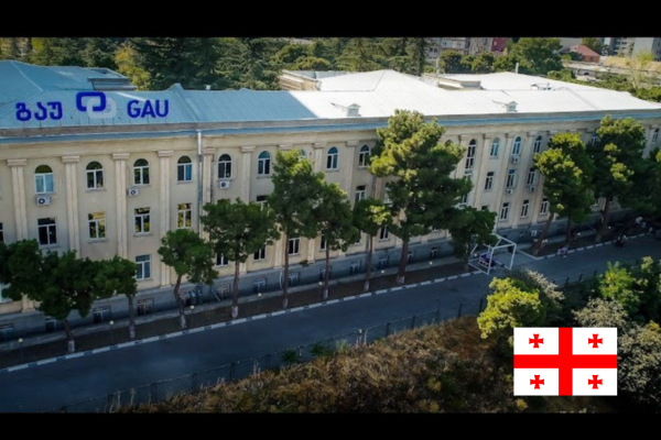 Georgian American University